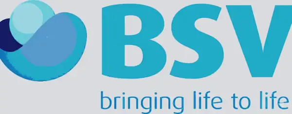 BSV